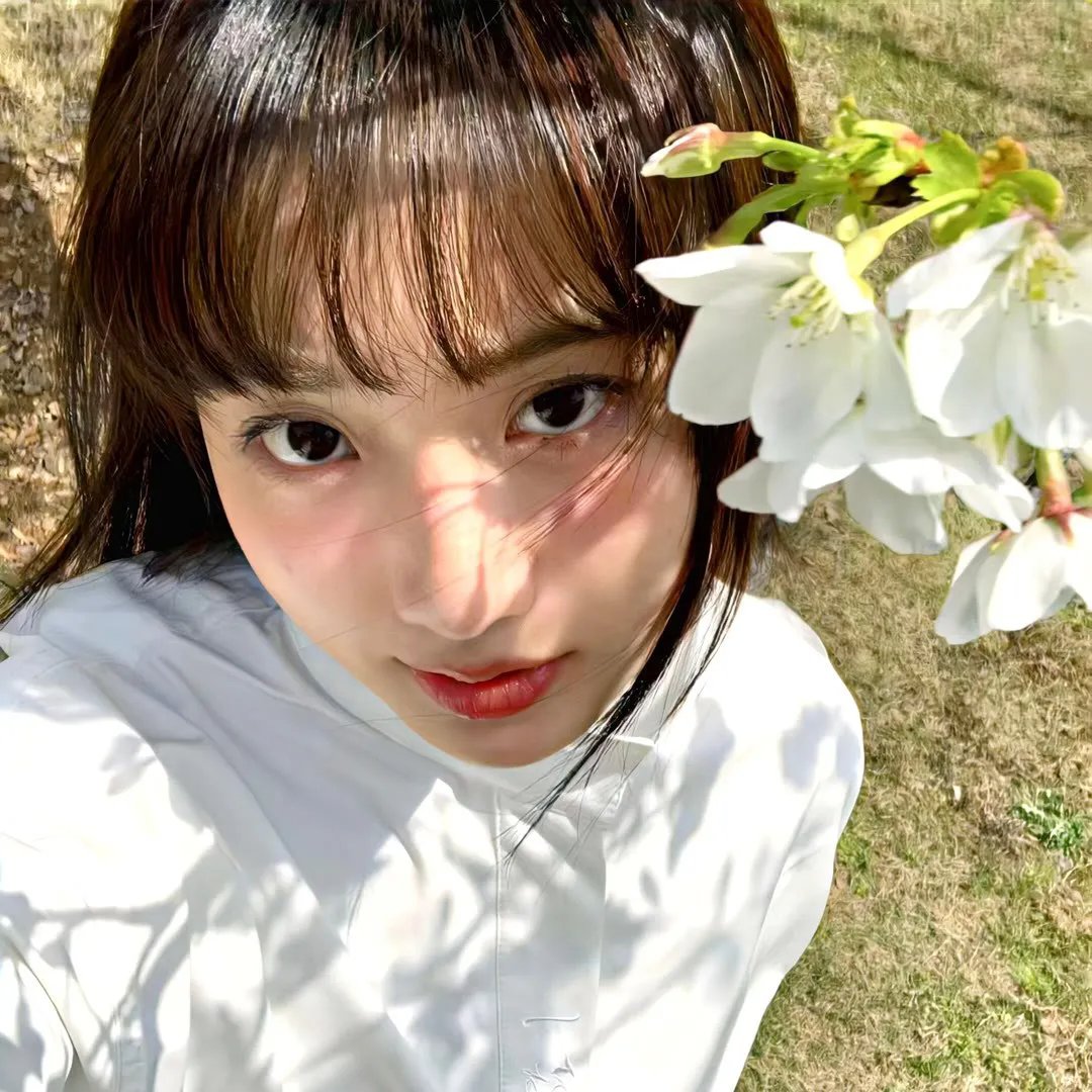 大破白莲教粤语
